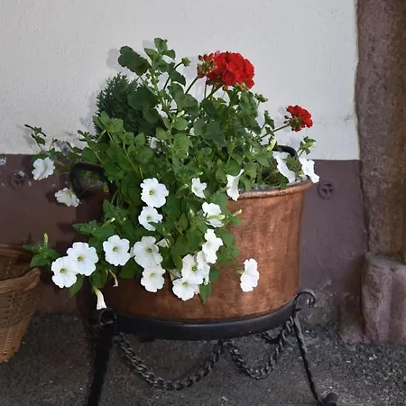 L'hadestal Affittacamere Hattstatt