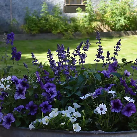 L'hadestal Affittacamere Hattstatt