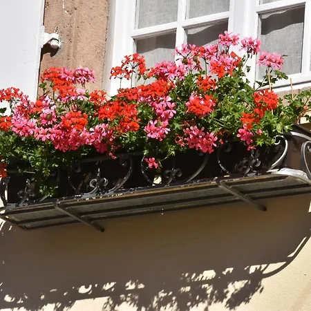 Guest house L'hadestal 3*
