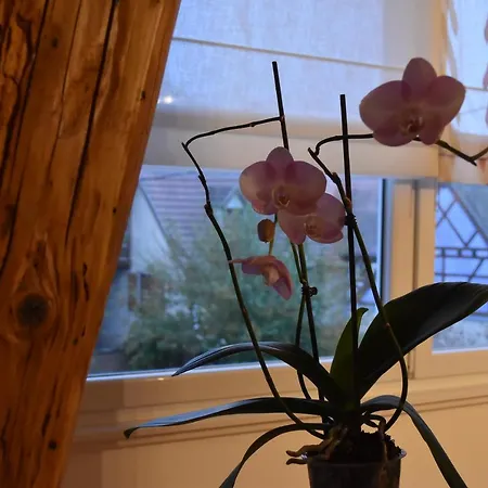 L'hadestal Hattstatt